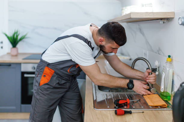 Best Plumbing Inspection Services  in Crystal Lake, IL